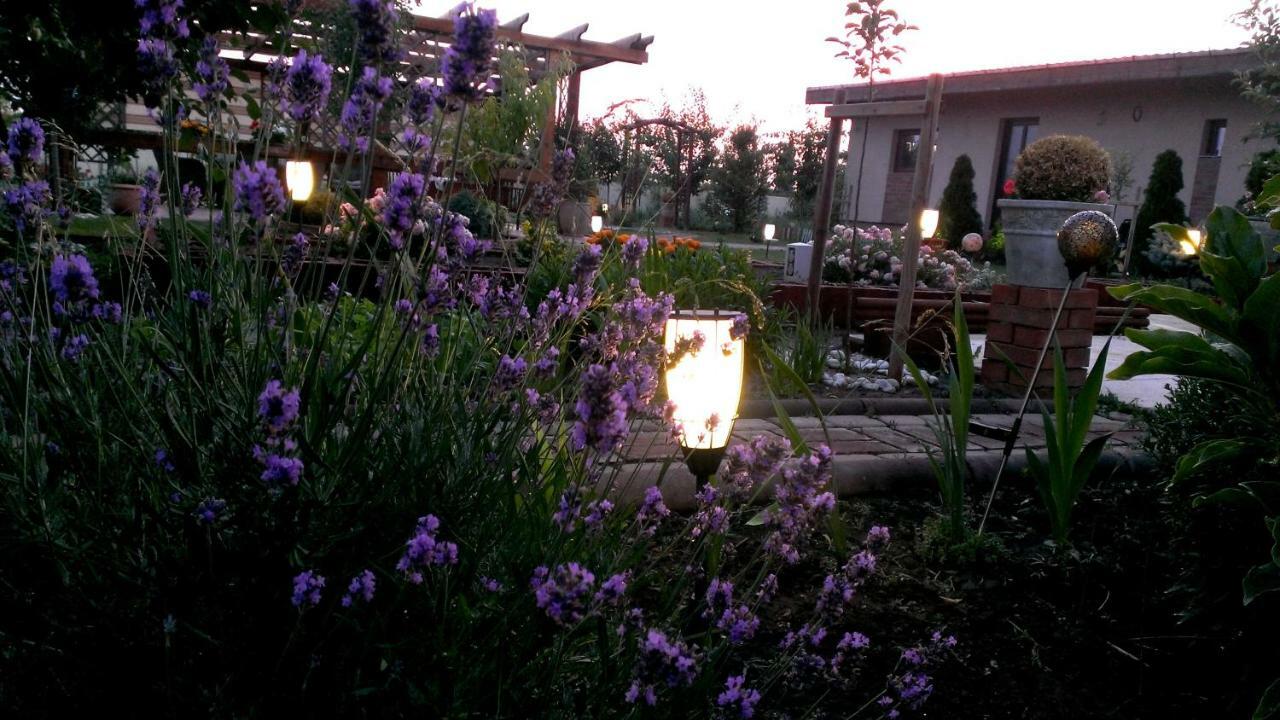 Vila Ramona オトペニ エクステリア 写真